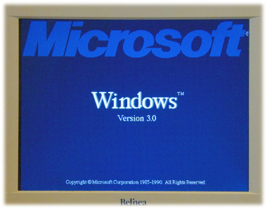 Windows 3.0